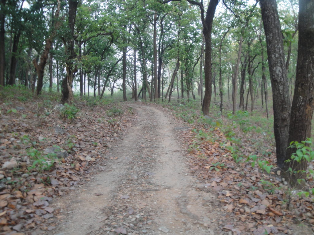 Jim corbett