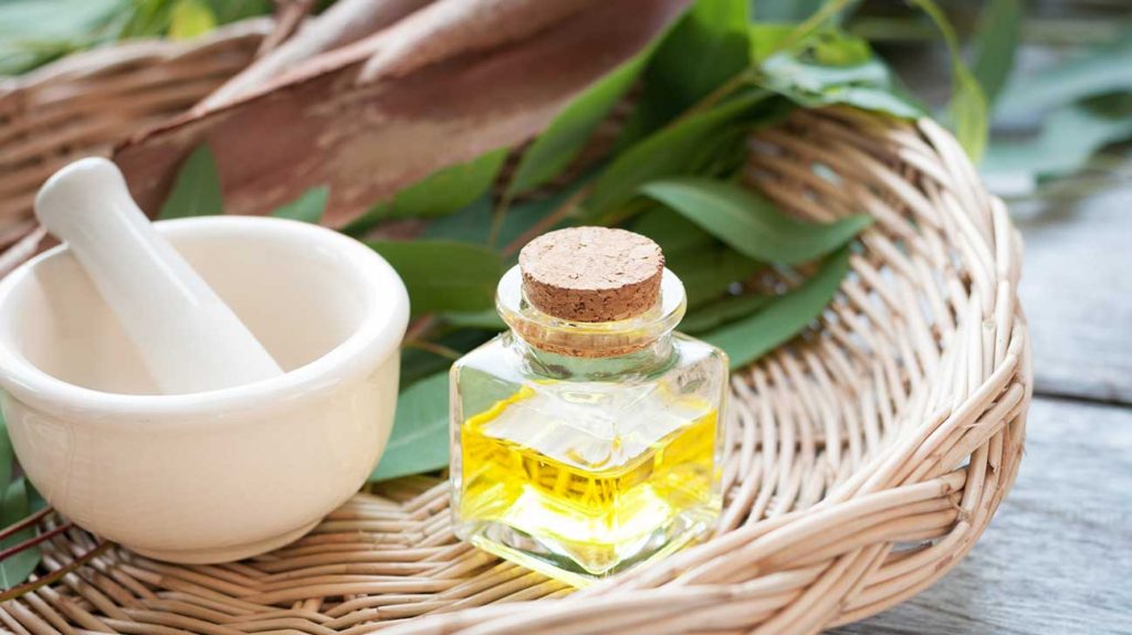 essential oils to stop snoring eucalyptus