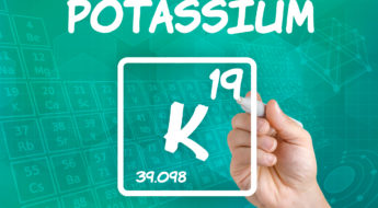 Zenith Nutrition Potassium Citrate Supplement Facts & Review