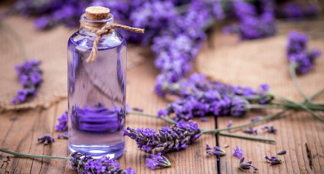 health & beauty benefits of lavender essential oil