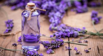 health & beauty benefits of lavender essential oil